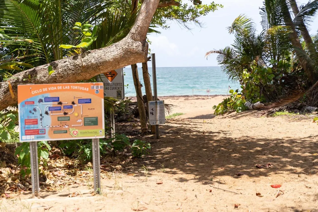 Apartment In Villas Del Faro Resort With Wifi Maunabo